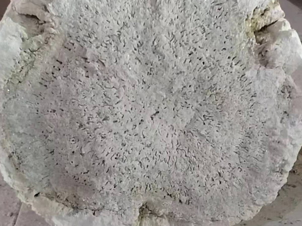镁砂大眼
